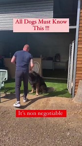 197K views · 2.9K reactions | All Dogs Must Know This #threshold #caucasianshepherd #dogtraining #reels #dogs | Southend Dog Training | Facebook