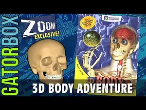 3D Body Adventure | Gatorbox