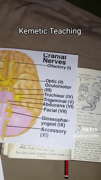 Kemetic Teaching: Embracing Ancestral Wisdom