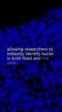 How do scientists visualize DNA under a microscope? | Advanced Molecular Insight