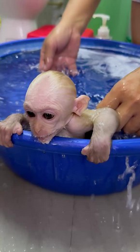 Tài khoản được đề xuất