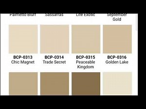 Boysen Color chart palette||Boysen colors combination for your wall