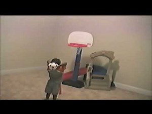 2004 Kendall Making Buckets