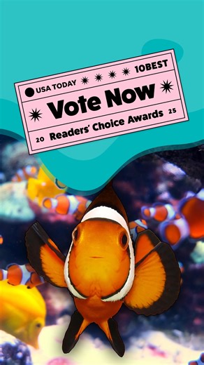 BIG NEWS! Ripley's Aquarium of the Smokies is nominated as Best Aquarium in America by USA TODAY! Can we count on your daily vote to help us swim to #1? | Ripley's Aquarium of the Smokies