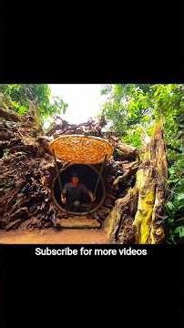 Hidden Forest Shelter Inside an Ancient Tree | Primitive Survival Build #fyp #naturevideo#forestcamp