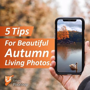 285 reactions · 31 shares | Get inspired! 5 tips in under 1 minute to create perfect Autumn Pixaloops. Now pass the inspiration along! Share your creations below or with #Pixaloop to join the revolution ✌️bit.ly/pixaloopinsta | Motionleap by Lightricks | Facebook