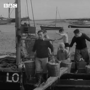 48K views · 704 reactions | #OnThisDay 1948: At Leigh-on-Sea, cameras captured cockle-collectors collecting, carrying, cleaning and cooking cockles. Charming clip. | BBC Archive | Facebook