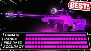 The Max Damage "LW3 Tundra" in Black Ops Cold War (Best Tundra Class Setup/Loadout)