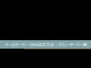 バリュードメイン ネームサーバーとDNS設定方法 バリューサーバー編