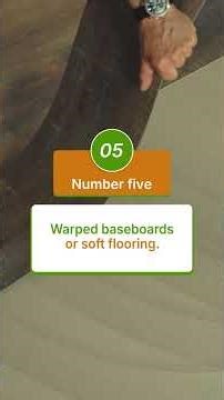 Early Signs of Mold in Your Home (What to Look For Before It Becomes a Problem)