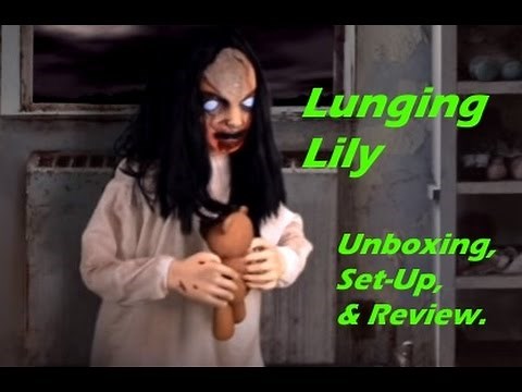 Lunging Lily - Unboxing, Set-Up, & Review