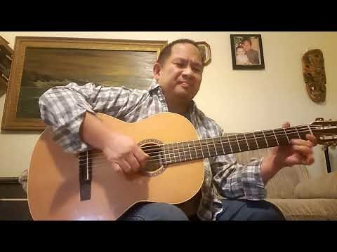 Godin Collection review