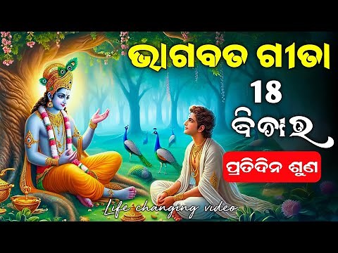 ଭାଗବତ ଗୀତା ସାର 18 ବିଚାର | Bhagwat Geeta 18 lessons | Bhagwat Gita Gyan Odia | Binayak TV