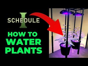 How To Water Plants in Schedule 1 (Full Guide)