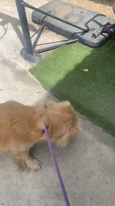 27K views · 1.5K reactions | Daddy ni Luka Luna Update!! Sino nga ba ang daddy ni Luka? Sya daw ang daddy nya sabi ni Luka  #savingluna | Harley & Euna | Facebook