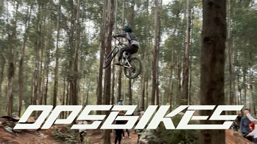 二十碎如约而至