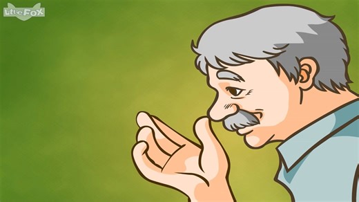 The Adventures of Pinocchio