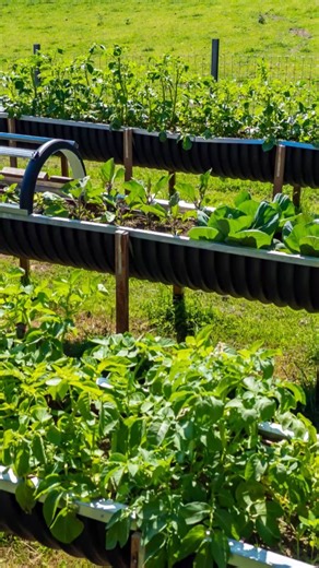 Hochbeet selber bauen: Mit unserer Anleitung + Tipps gelingt das Beet in luftiger Höhe