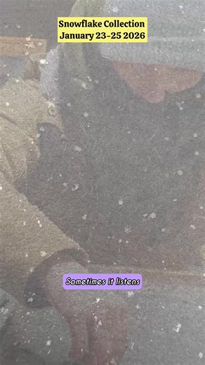 Inside every snowflake is a form of geometry written by nature. Ice molecules naturally arrange themselves into a six sided structure. Because of this molecular pattern, snow crystals grow with hexagonal symmetry as they form inside clouds. As the crystal moves through the atmosphere, changing temperatures and humidity guide how it grows. Some develop thin plates. Others grow branching dendrites that resemble frozen ferns. Some form delicate stellar patterns that seem almost impossibly intricate