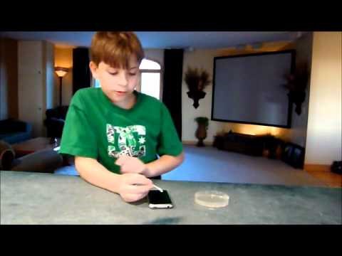 Science Project - Growing Bacteria In A Petri Dish