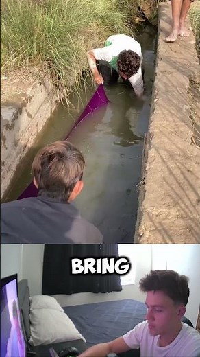 Net trick to catch bait! #fish #netfishing