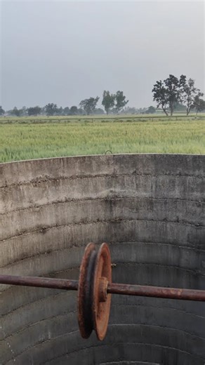 farming #indian#ganvkilifestyle#khet