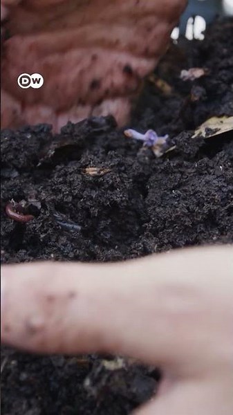 इस धरती को आप कैसे बचा सकते हैं [How can you save soil]