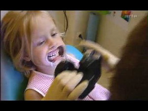 Homo sapiens Une nouvelle histoire de l'Homme 2005