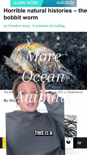 Discover Unique Ocean Animals: Phantom Jellyfish & More