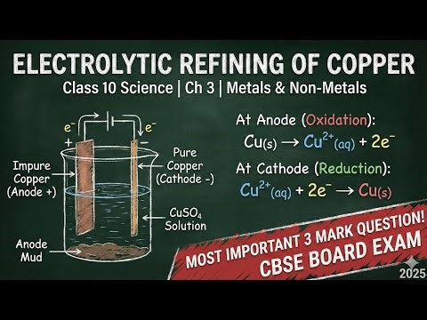 Electrolytic Refining of Copper Explained with Diagram & Equations | Class 10 Chapter 3 | CBSE Board