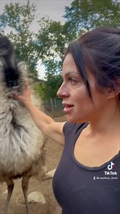 Useless Farm on Reels