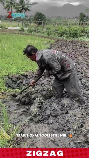 Sharp & Efficient Hand Hoe for Soil Turning and Land Preparation in Muddy Farm Fields