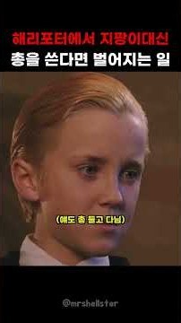 해리포터와 마법사의 "총"