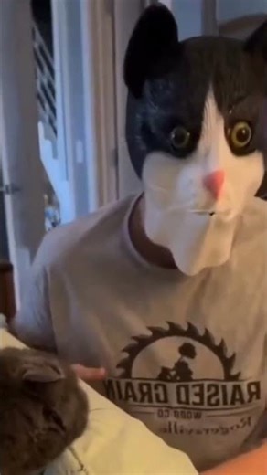 Mask Prank With Cats 🐈 🎭 😂 #catvideos #catfunnyvideos #cat