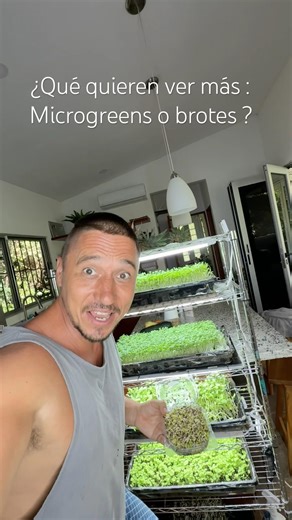 ¿Qué quieren ver más : microgreens o brotes ?