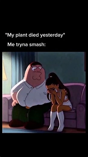 Griffin Factory on Instagram: "Follow @griffin_factory for Family Guy based content Peter Griffin is the crude, impulsive, and often irresponsible father of the Griffin family.� He works at the Pawtucket Patriot Brewery and frequently causes chaos through poor decisions.� Peter is known for his childlike behavior, low intelligence, and exaggerated emotional reactions.� Despite his flaws, he occasionally shows loyalty and care for his family.� His actions usually drive the show’s main conflicts a