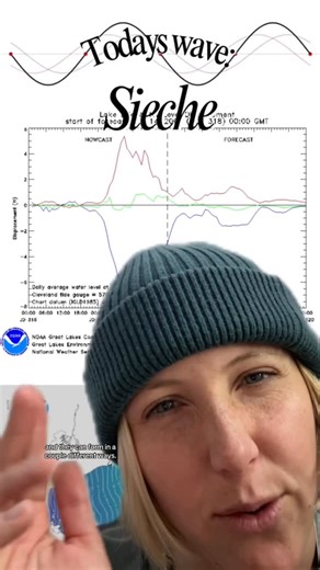 Dr. Paige Hoel on Instagram: "Bet u didn’t know these had a name #wave #seiche #greatlakes #physics #seismology"
