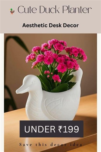 Cute Duck Planter 🦆 Under ₹199 | Aesthetic Decor Idea