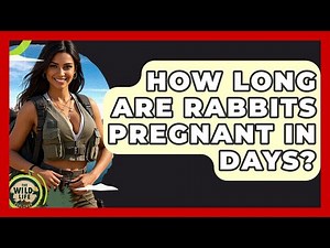 How Long Are Rabbits Pregnant In Days? - The Wild Life Explorer
