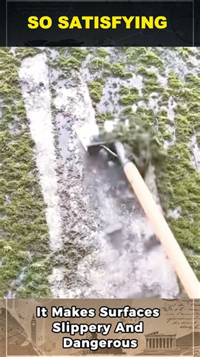 This Simple Tool Instantly Removes Moss… So Satisfying 😳