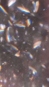 POV: you're the trendy bride of the friend group 👰🏼‍♀️💎 — your wedding was full of inspiration from Pinterest and social media, your dress was simple but elegant, and the floral arrangements were tasteful but unique. You keep up with the trends, but also leave some room to make it your own. #genesisdiamonds #bride | Genesis Diamonds