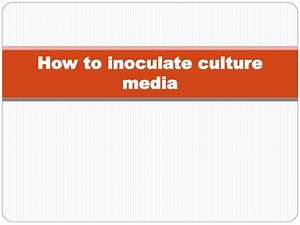 How to inoculate culture media - SlideServe