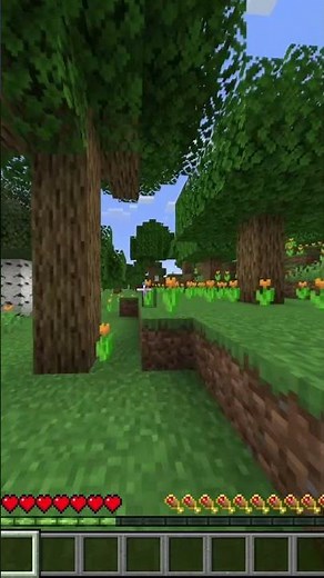 Entity Cramming in Minecraft