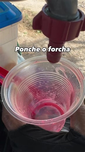 Cómo hacer ponche de forcha colombiano