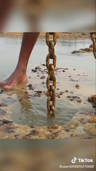 Expert Fish Catching Techniques in Natural Water Bodies