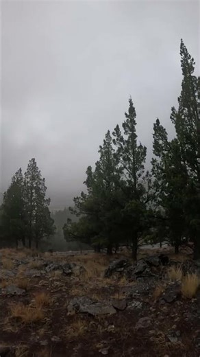 Modoc county California. Raining in God's country.