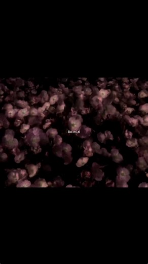 Mitski — Washing Machine Heart #musica #songlyric #song #fyp #fy #fyy #