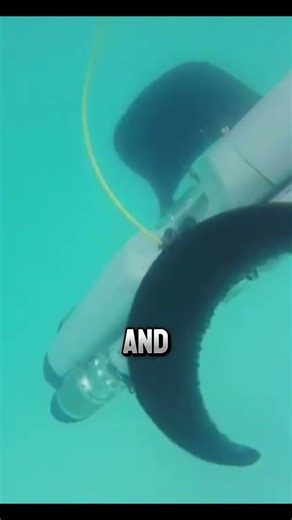 The Versatile Velox: A Robot Mimicking Evolution