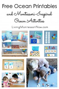 Free Ocean Printables and Montessori-Inspired Ocean Activities - Living Montessori Now
