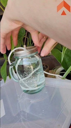 How do I water my plants while I'm away?🌱💦
